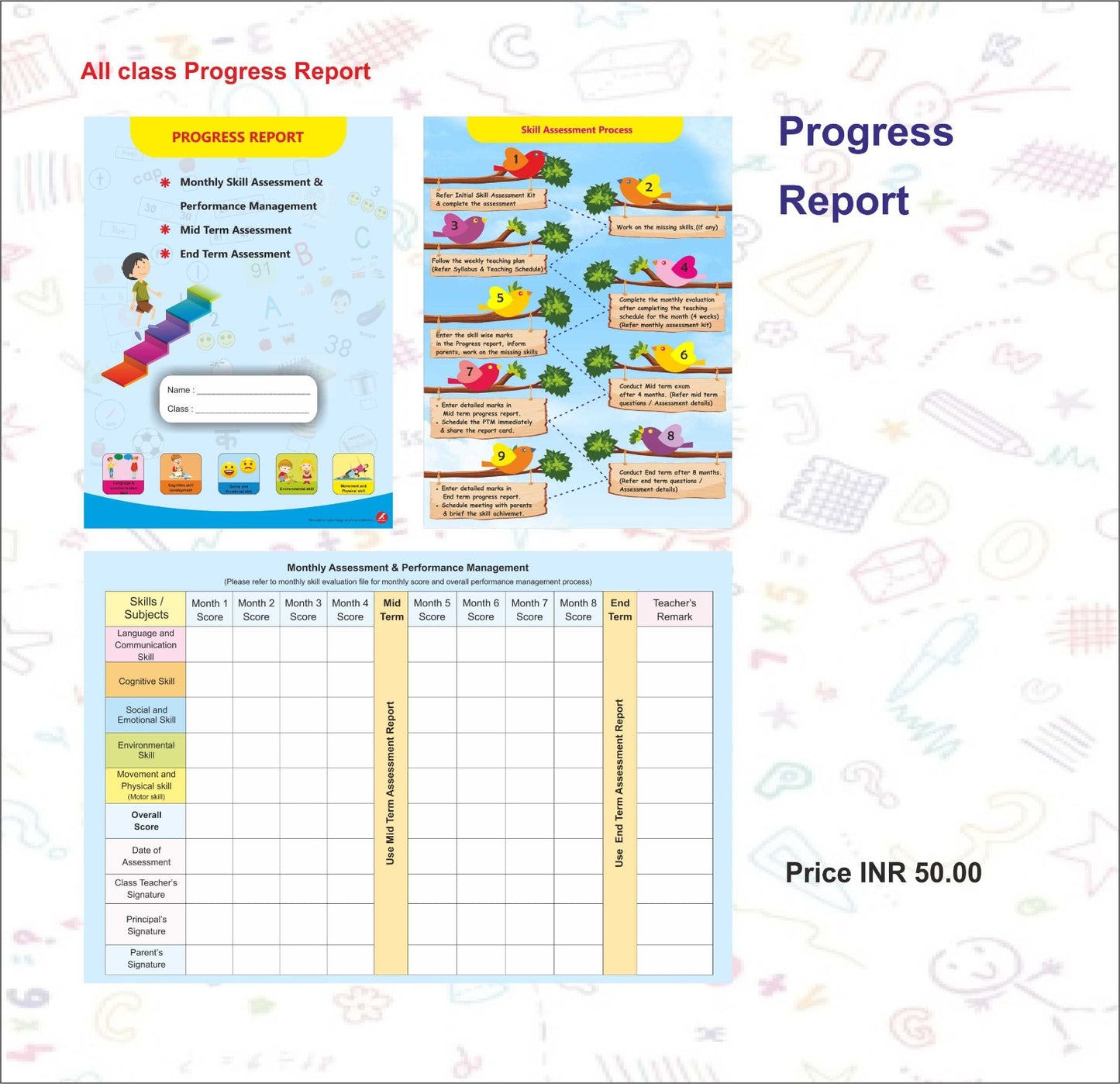 Progress Report